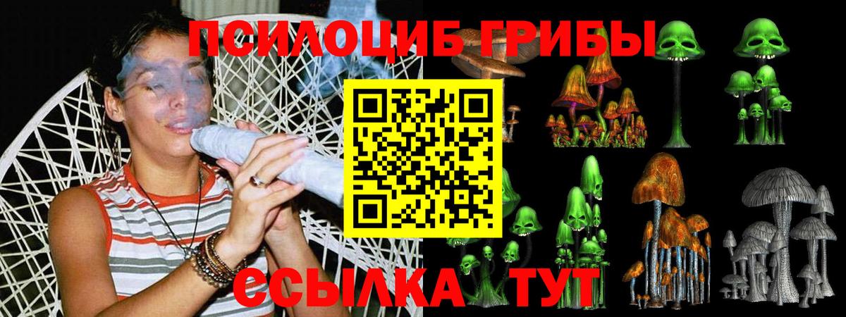 Киров  Псилоцибиновые грибы Psilocybine cubensis  Вход с VPN 